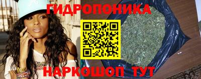 стаф Будённовск