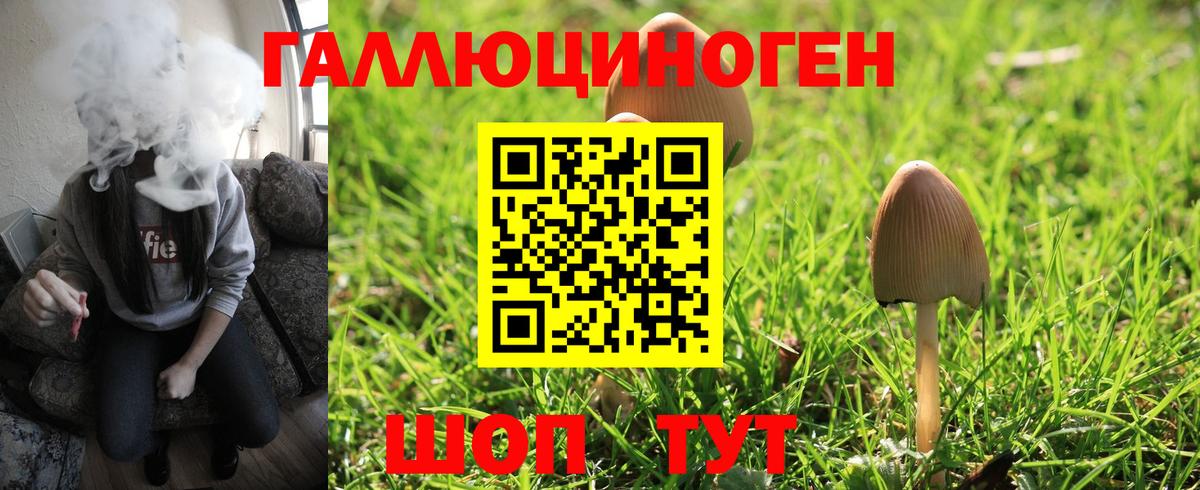 Белогорск  Псилоцибиновые грибы мухоморы  Вход с VPN 